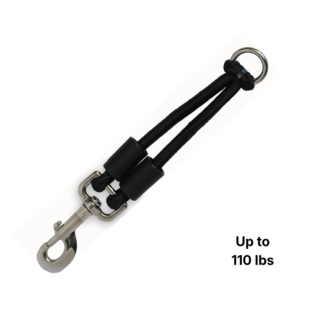 Large Bungee Dog Leash Extension | Absorbs Shock for 61–110 lb