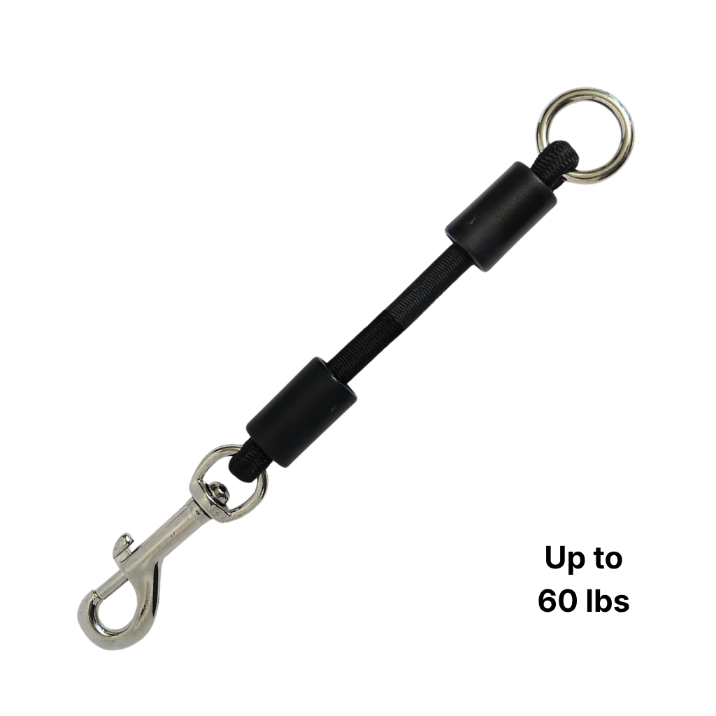 Medium Bungee Dog Leash Extension | Absorbs Shock for 21–60 lb