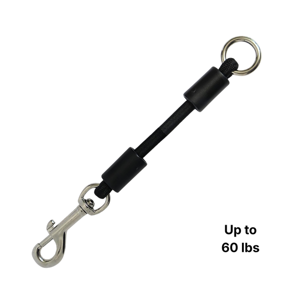 Medium Bungee Dog Leash Extension | Absorbs Shock for 21–60 lb